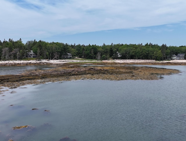 175 Paul Bunyan Rd, Gouldsboro, ME 04607 - photo 3