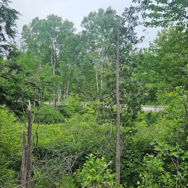 LOT1 Kelly Ln, Millinocket, ME 04462