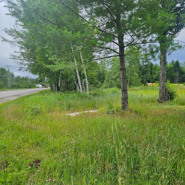LOT1 Kelly Ln, Millinocket, ME 04462