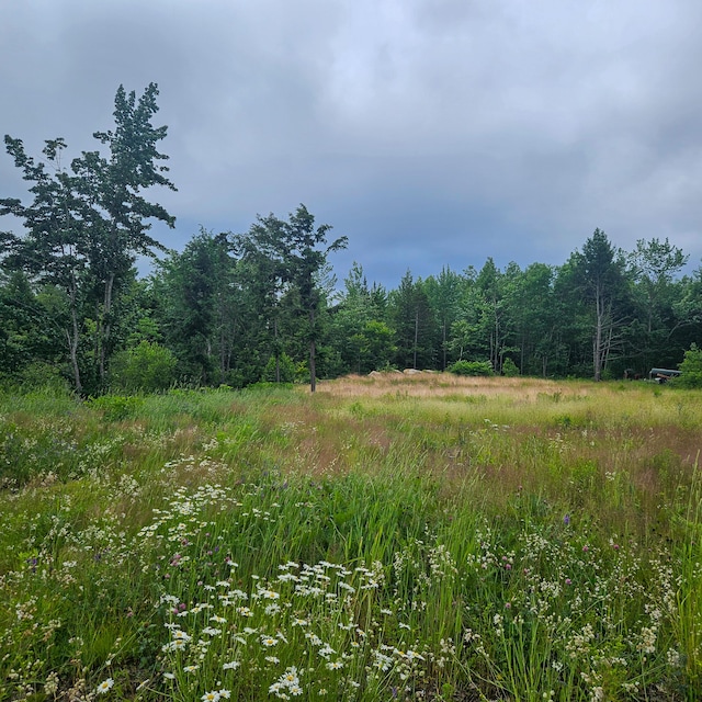 LOT1 Kelly Ln, Millinocket, ME 04462