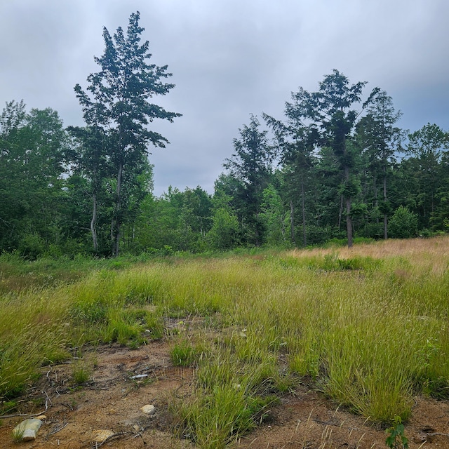 LOT1 Kelly Ln, Millinocket, ME 04462