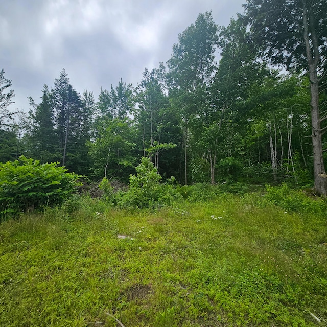 LOT1 Kelly Ln, Millinocket, ME 04462