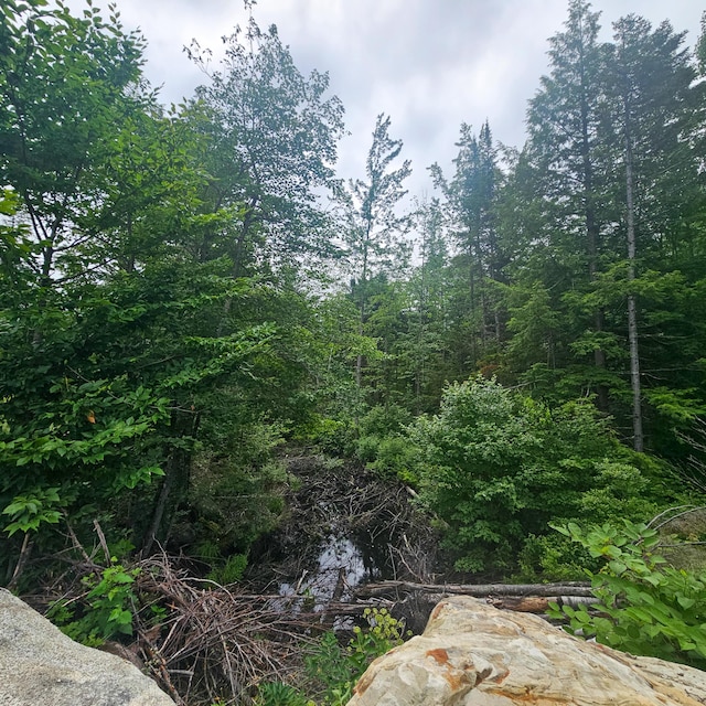 LOT1 Kelly Ln, Millinocket, ME 04462