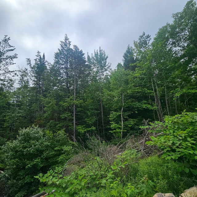 LOT1 Kelly Ln, Millinocket, ME 04462