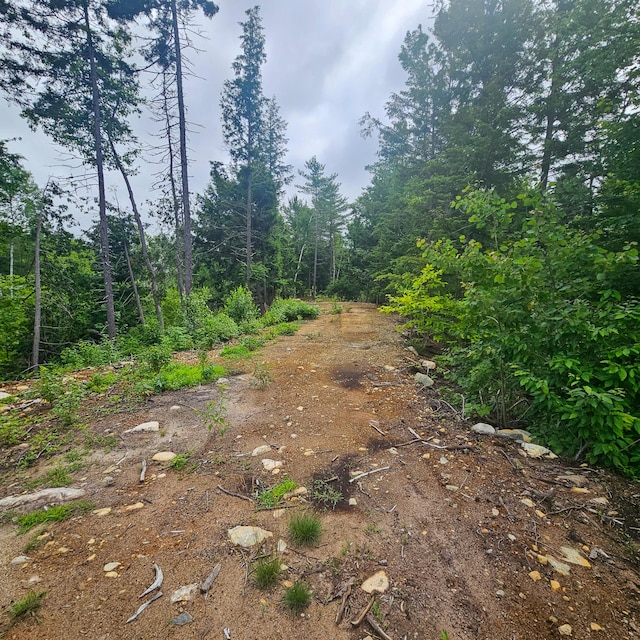 LOT1 Kelly Ln, Millinocket, ME 04462