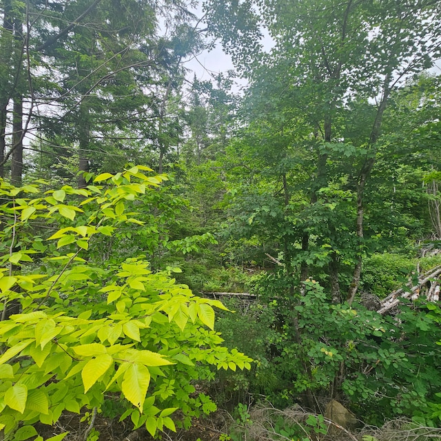 LOT1 Kelly Ln, Millinocket, ME 04462