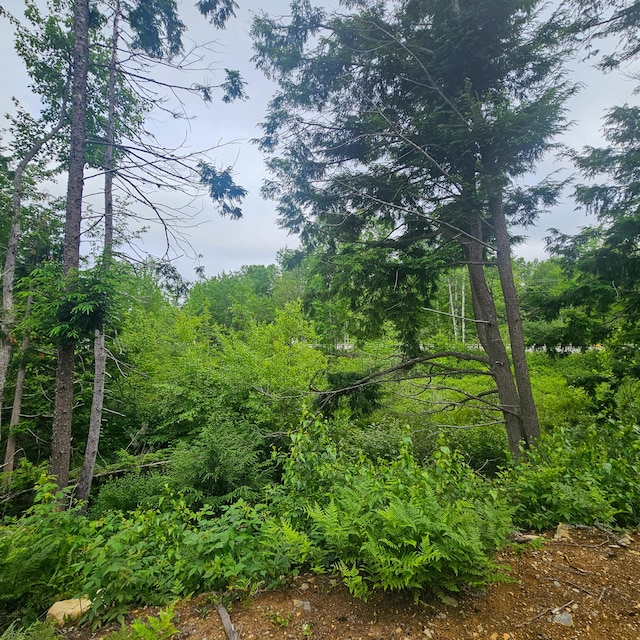 LOT1 Kelly Ln, Millinocket, ME 04462