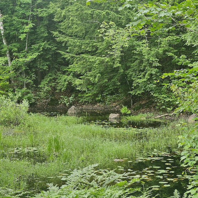 LOT1 Kelly Ln, Millinocket, ME 04462