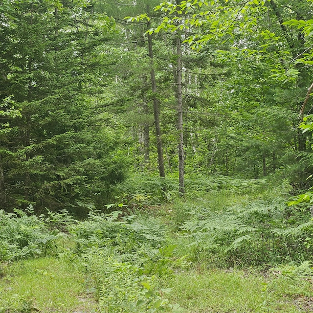 LOT1 Kelly Ln, Millinocket, ME 04462