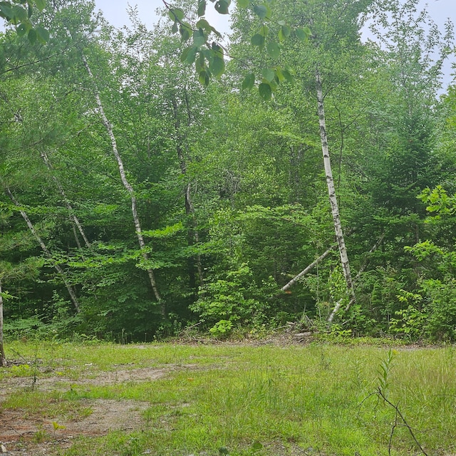 LOT1 Kelly Ln, Millinocket, ME 04462