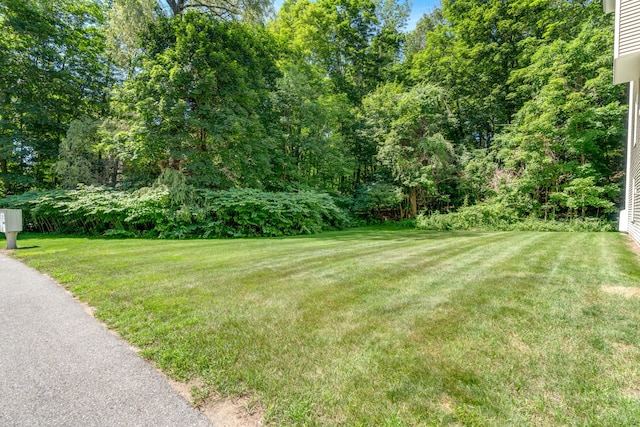 8 Woodside Dr Unit 1, Gorham, ME 04038 - view of green lawn