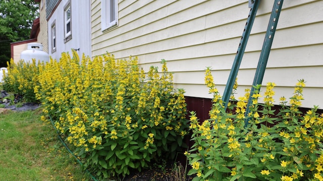 1146 Post Rd, Bowdoinham, ME 04008 - photo 74