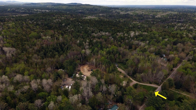 214 Milford Rd, Grand Lake Stream Plt, ME 04668 - photo 3