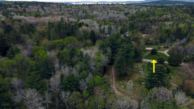 214 Milford Rd, Grand Lake Stream Plt, ME 04668 - photo 4
