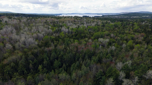 214 Milford Rd, Grand Lake Stream Plt, ME 04668 - photo 6
