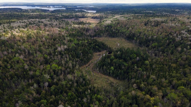 214 Milford Rd, Grand Lake Stream Plt, ME 04668 - photo 8