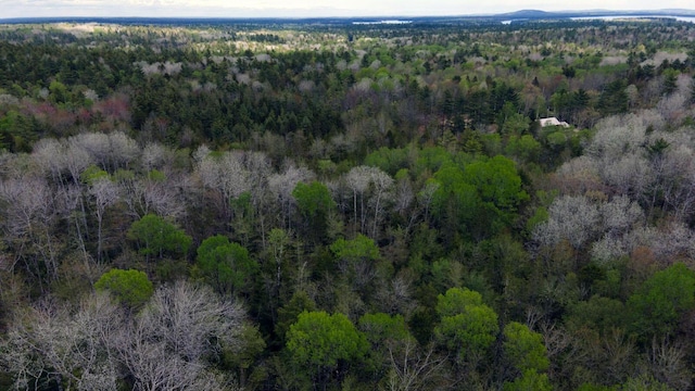 214 Milford Rd, Grand Lake Stream Plt, ME 04668 - photo 9