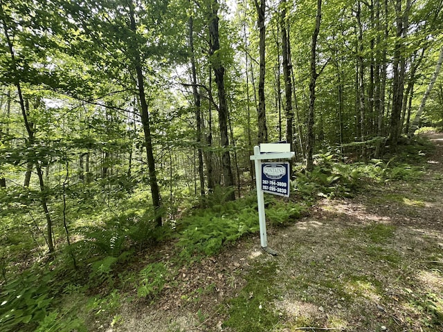 LOTS10 Davenport Rd, Hartford, ME 04220
