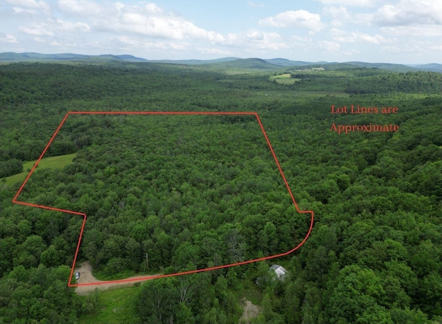 LOTS10 Davenport Rd, Hartford, ME 04220