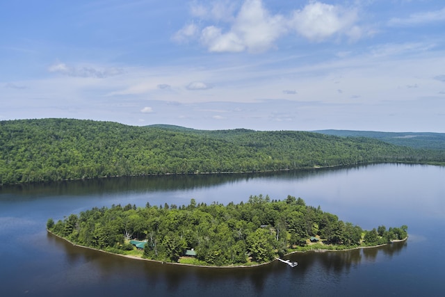 1 Zella Is Unit T14 R8, Wels, ME 04768 - water view with a heavily wooded area