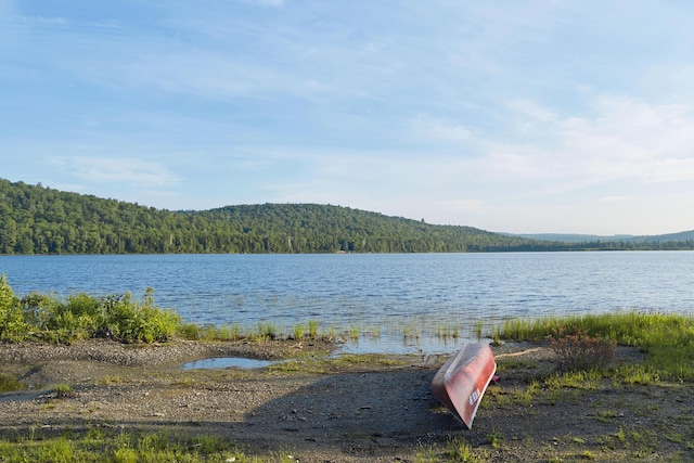 1 Zella Is Unit T14 R8, Wels, ME 04768 - water view with a heavily wooded area