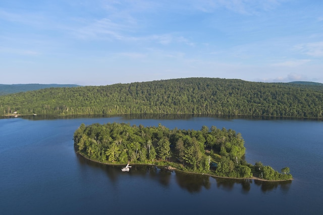 1 Zella Is Unit T14 R8, Wels, ME 04768 - water view with a forest