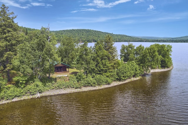 1 Zella Is Unit T14 R8, Wels, ME 04768 - water view featuring a forest