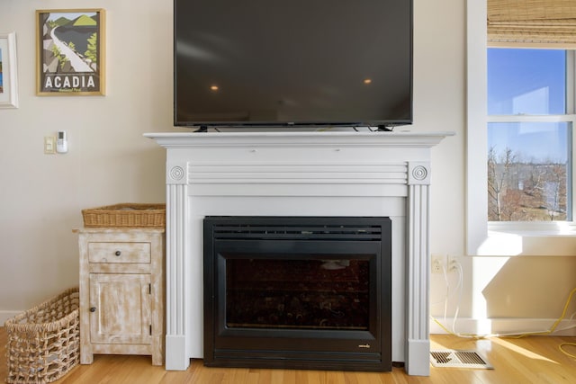 74 Spindle Rd, Ellsworth, ME 04605 - detailed view of a glass covered fireplace and wood finished floors