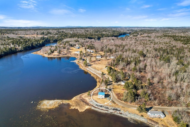 74 Spindle Rd, Ellsworth, ME 04605 - view of property location with a large body of water and a forest