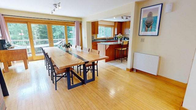 93 Hopkins Rd, Hampden, ME 04444 - dining space featuring radiator heating unit, french doors, light wood-type flooring, and rail lighting