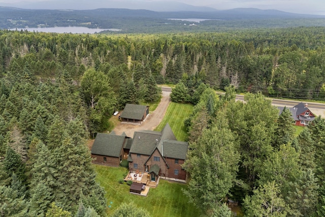 247 Dallas Hill Rd, Dallas Plt, ME 04970 - photo 21