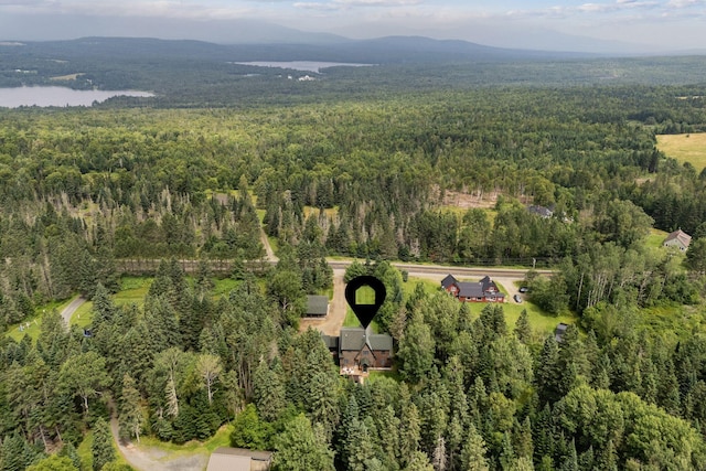 247 Dallas Hill Rd, Dallas Plt, ME 04970 - photo 22