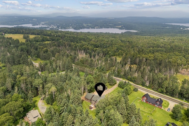247 Dallas Hill Rd, Dallas Plt, ME 04970 - photo 23