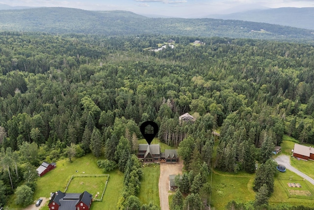 247 Dallas Hill Rd, Dallas Plt, ME 04970 - photo 25