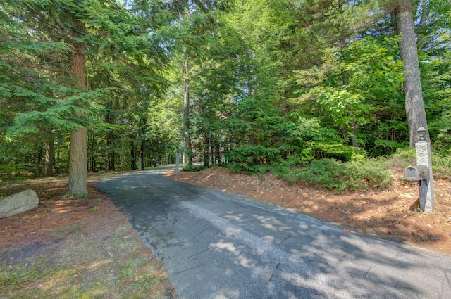 45 Brocklebank Dr, Bridgton, ME 04009 - photo 44