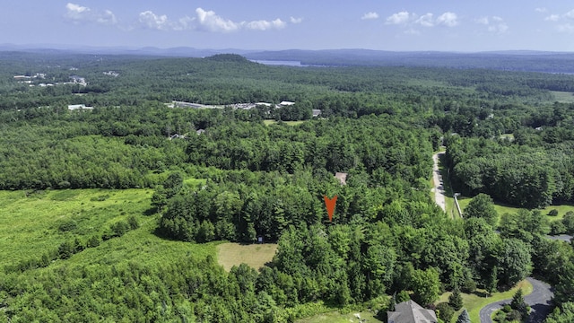 45 Brocklebank Dr, Bridgton, ME 04009 - photo 45