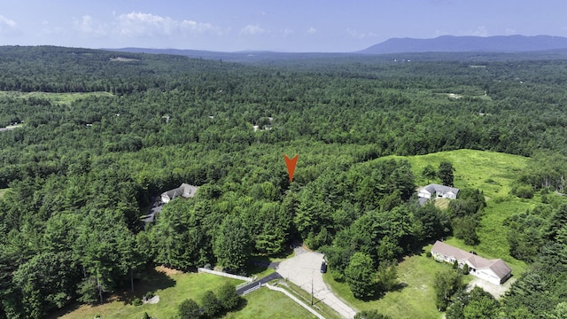 45 Brocklebank Dr, Bridgton, ME 04009 - photo 46