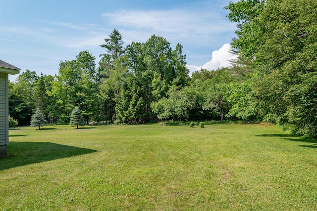 183 Barnard Rd, Barnard Twp, ME 04414 - photo 60