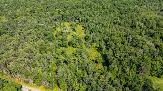 183 Barnard Rd, Barnard Twp, ME 04414 - photo 66