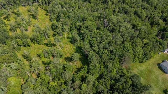 183 Barnard Rd, Barnard Twp, ME 04414 - photo 70
