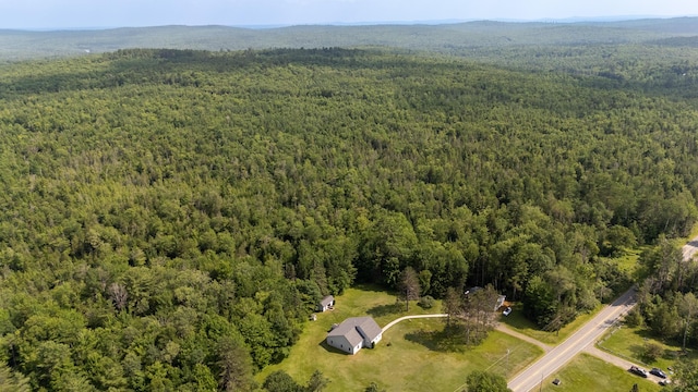 183 Barnard Rd, Barnard Twp, ME 04414 - photo 88