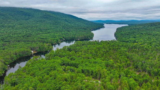28 Ski Sand Ln, Denmark, ME 04022 - photo 37