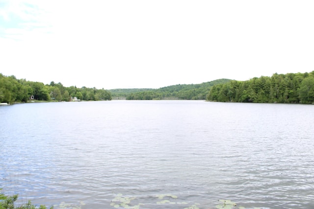 8 Drake Ln, Oakfield, ME 04763 - water view with a forest