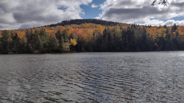 8 Drake Ln, Oakfield, ME 04763 - water view featuring a heavily wooded area