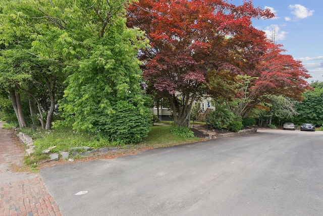 1415 Congress St, Portland, ME 04102 - photo 5