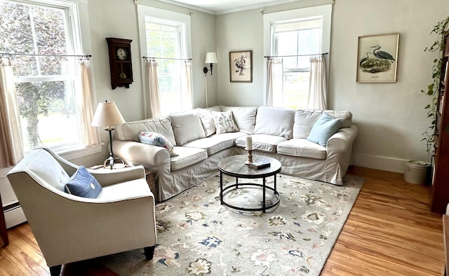 72 Federal Rd, Parsonsfield, ME 04047 - living area featuring ornamental molding, wood finished floors, and a baseboard radiator