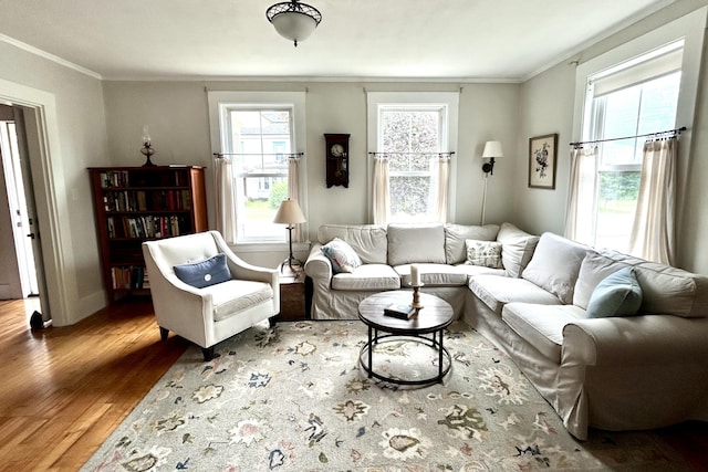 72 Federal Rd, Parsonsfield, ME 04047 - living room featuring ornamental molding and wood finished floors