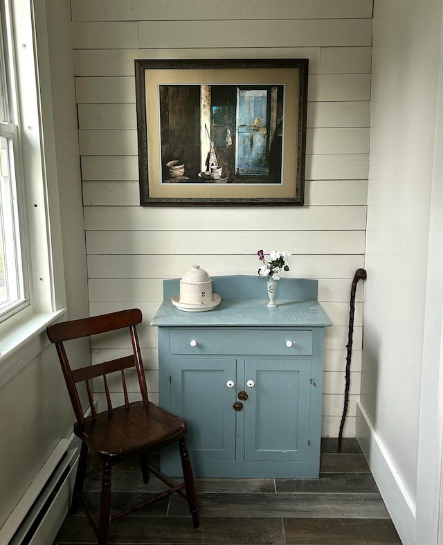 72 Federal Rd, Parsonsfield, ME 04047 - detailed view of a baseboard heating unit, wood walls, and wood finished floors