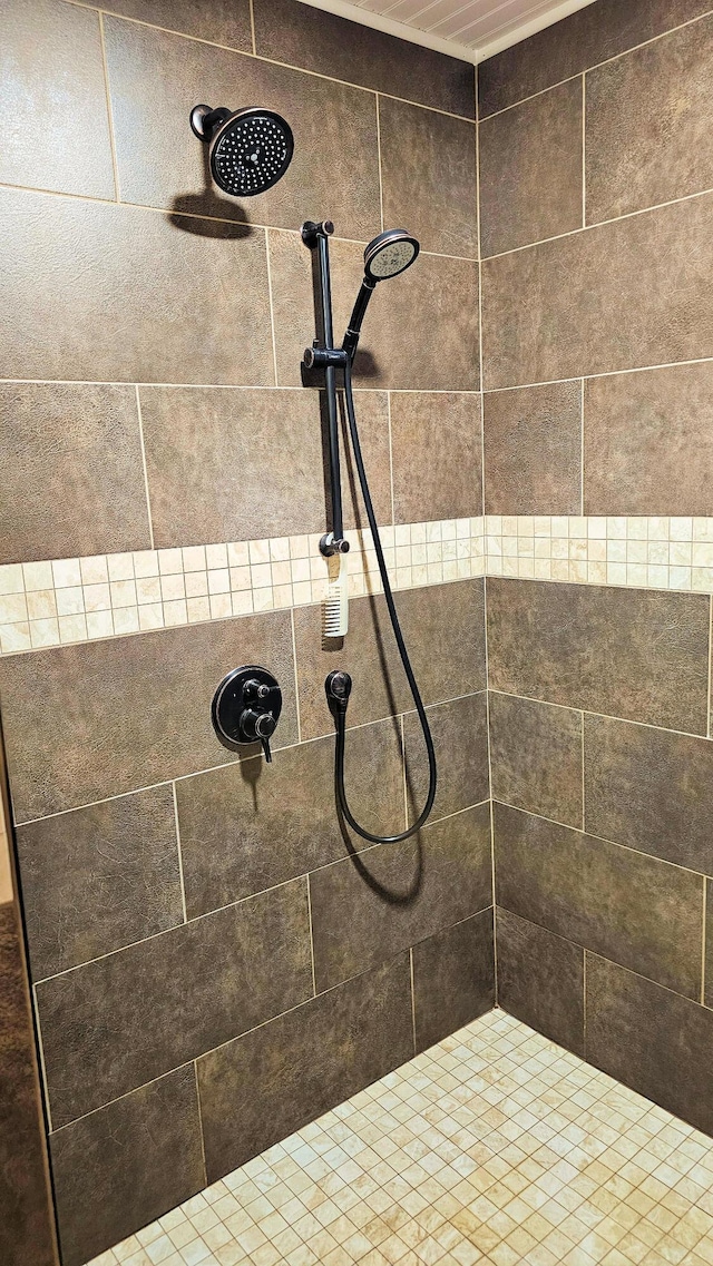 62 Cobb Rd, Stetson, ME 04488 - bathroom with a tile shower