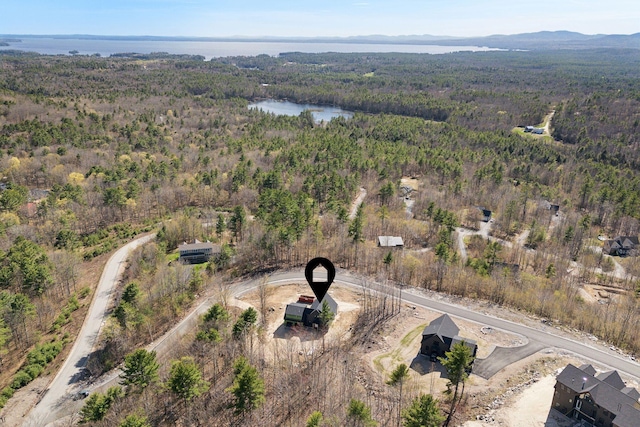19 Sky Ridge Dr, Casco, ME 04015 - photo 10